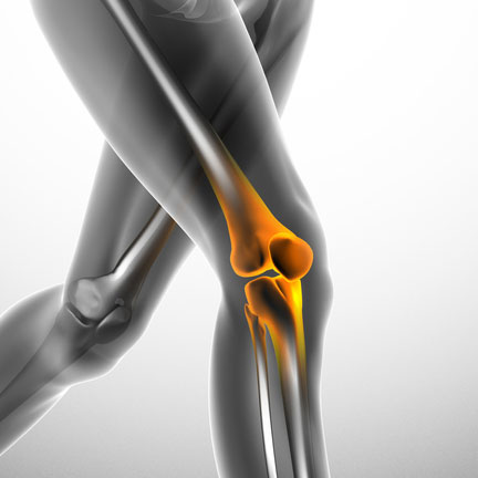Sydney Knee Surgeon - Dr David Parker